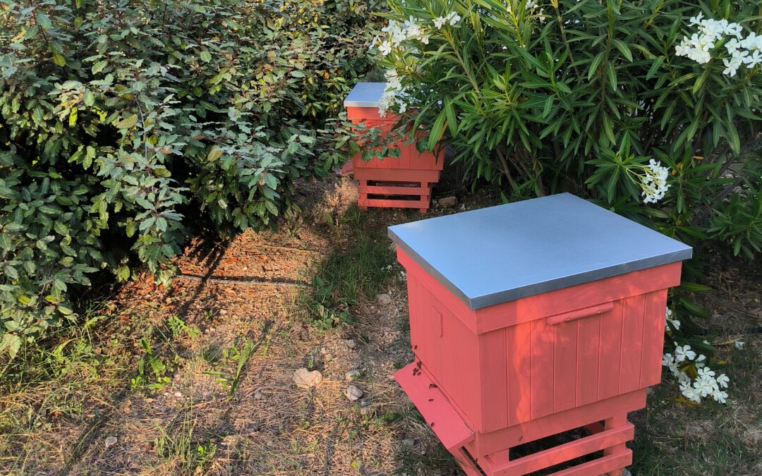Installation des ruches RDT 13